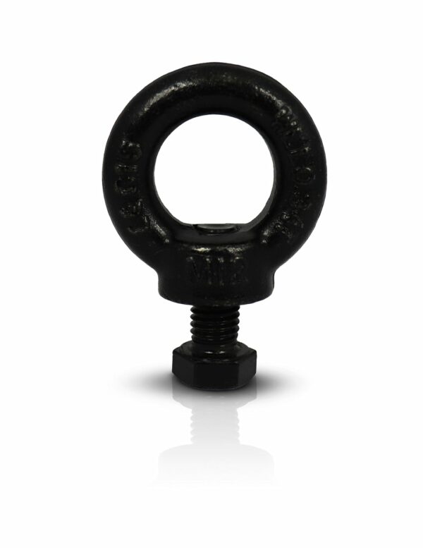 M10 Eye Bolt
